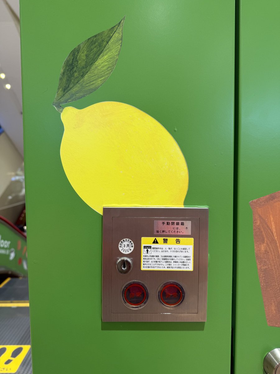 今日のレモン🍋