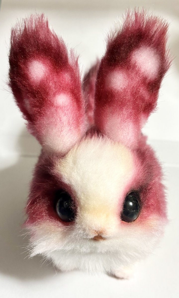 Teritre Doll/テリトルドール (@teritre_doll) / Posts / X