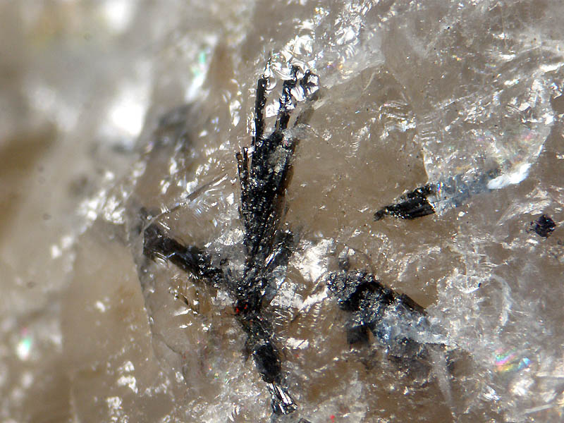 日本の鉱物.COM (@miikun3201) / Posts / X