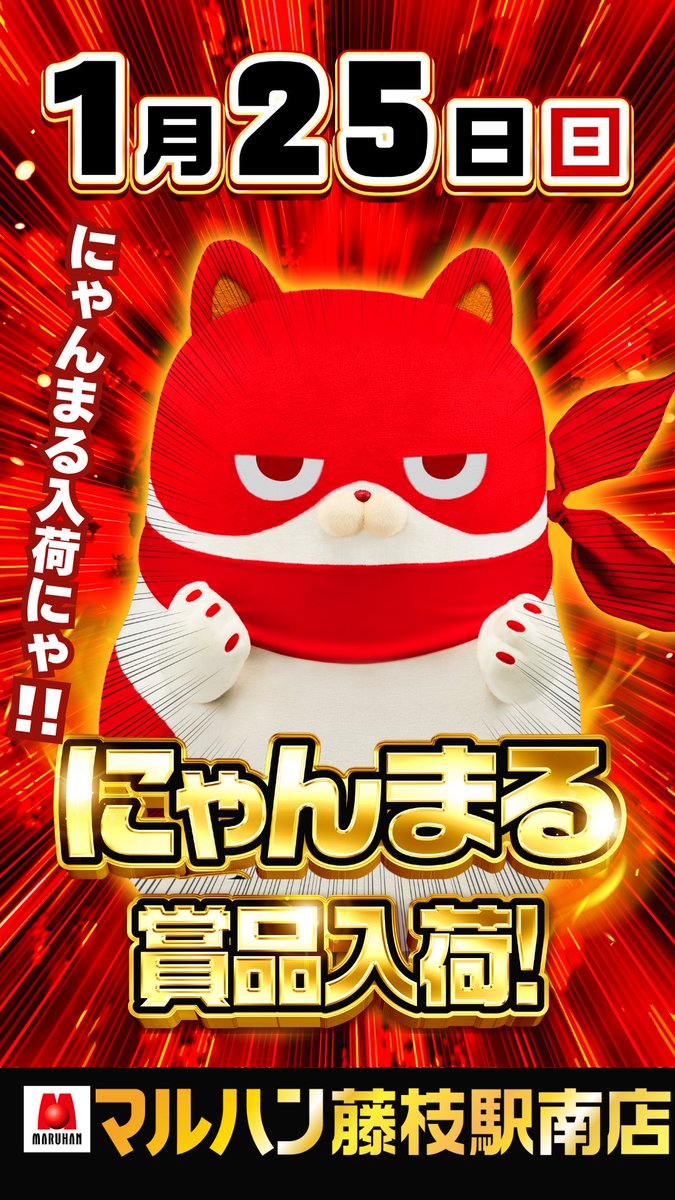 📣明日2月8日（日） ✨✨✨✨✨✨✨✨✨ 😺にゃんまる賞品入荷