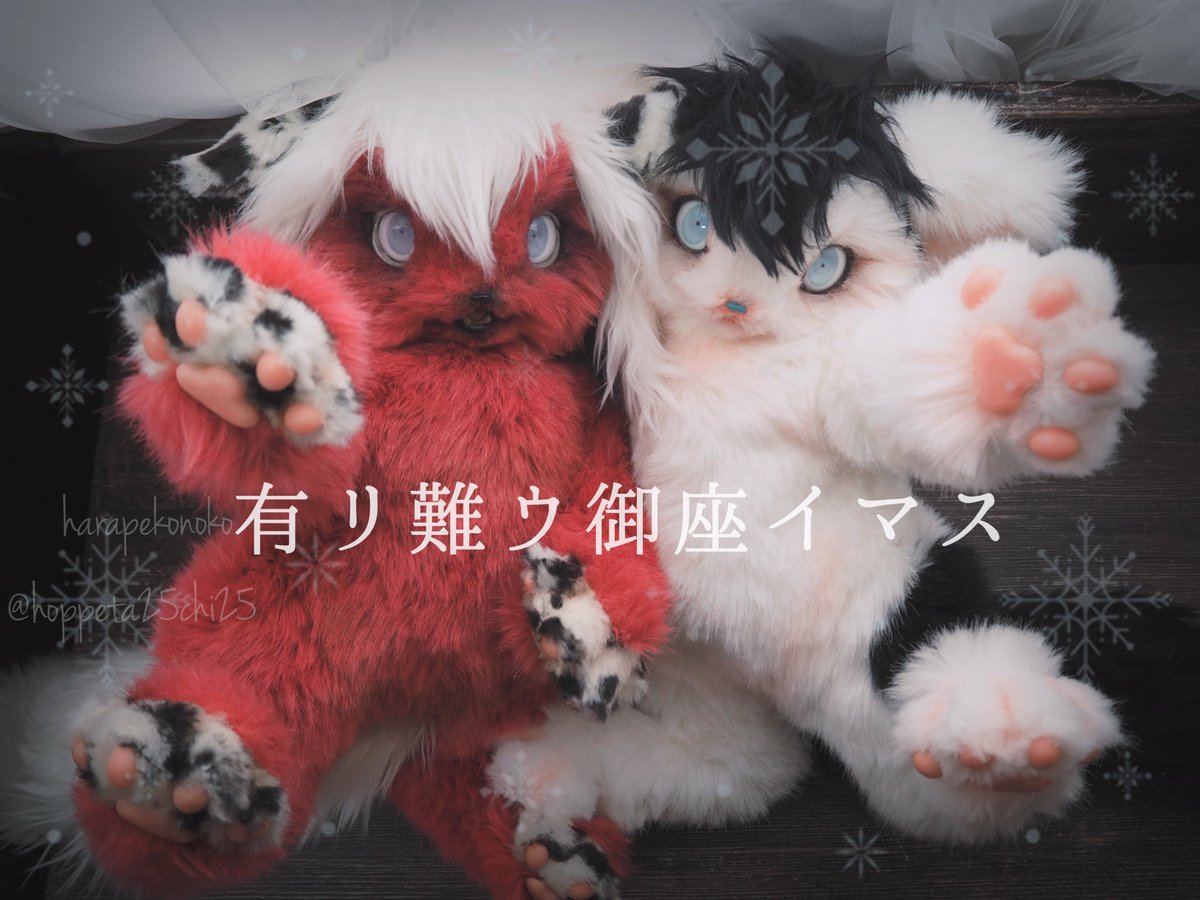 ハラペコ (@hoppeta25chi25) / Posts / X