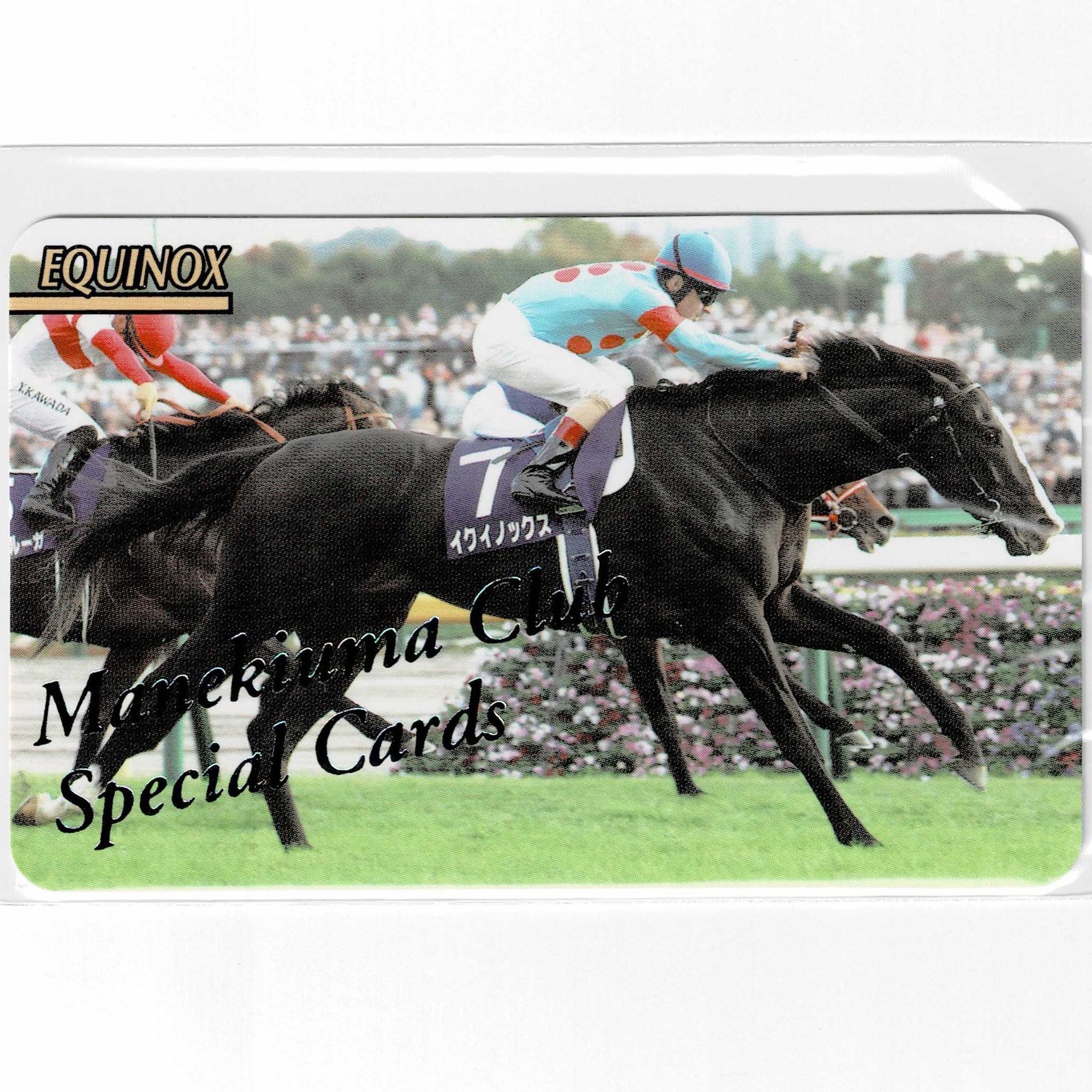 ☆テイエムオペラオー(No.2089)まねき馬倶楽部レインボーカード☆15枚