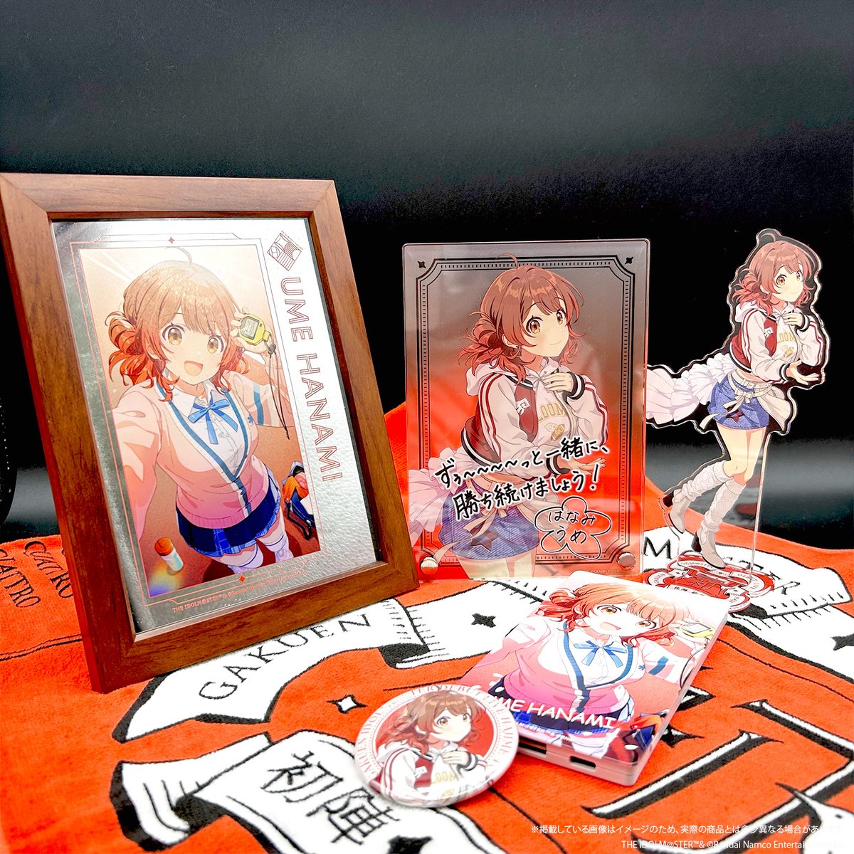 ☆┈┈┈┈┈┈┈┈┈┈┈┈☆ 初陣公演 公式グッズ事前受注受付中