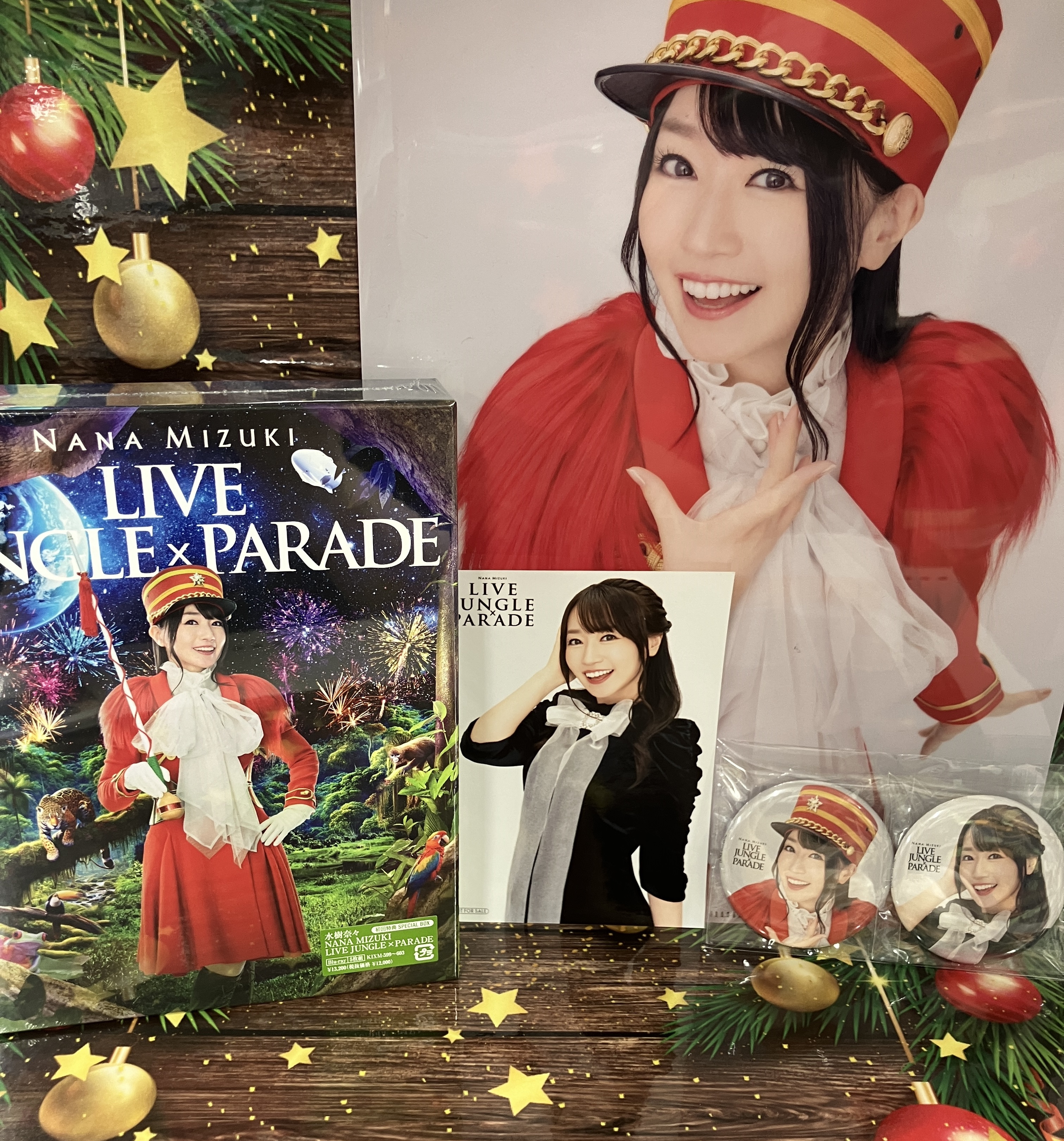 水樹奈々 20th birthday Live パンフレット 【公式通販】