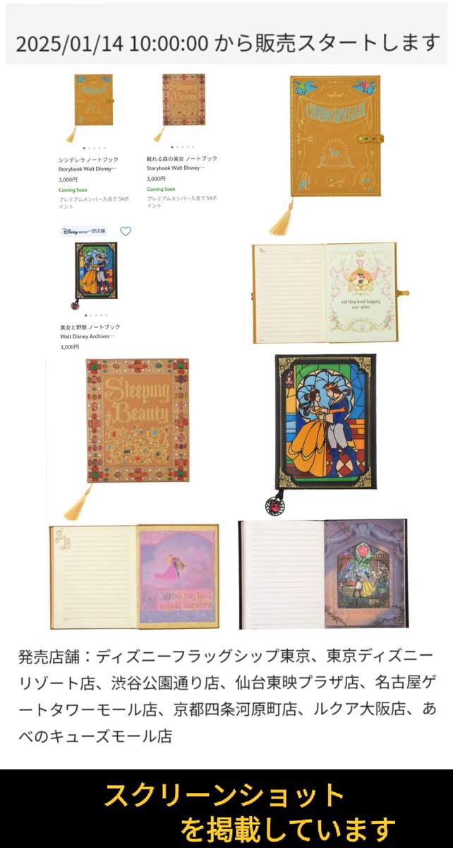 ディズニーストア 1/14 ノートブック シンデレラ、眠れる森の美女