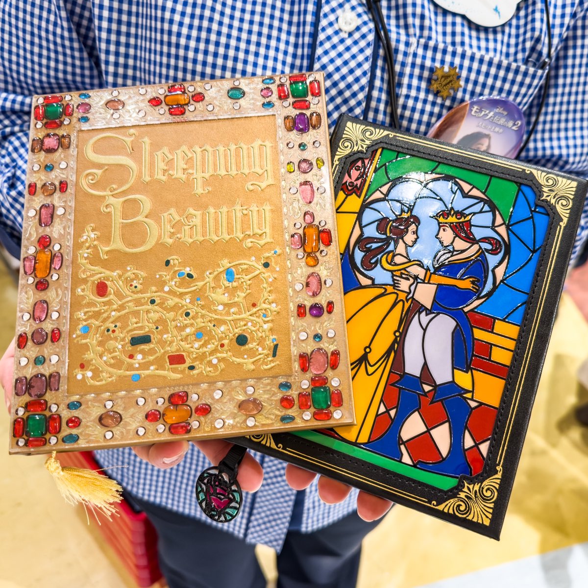 グッズ ディズニーストア ディズニー ストア 眠れる森の美女