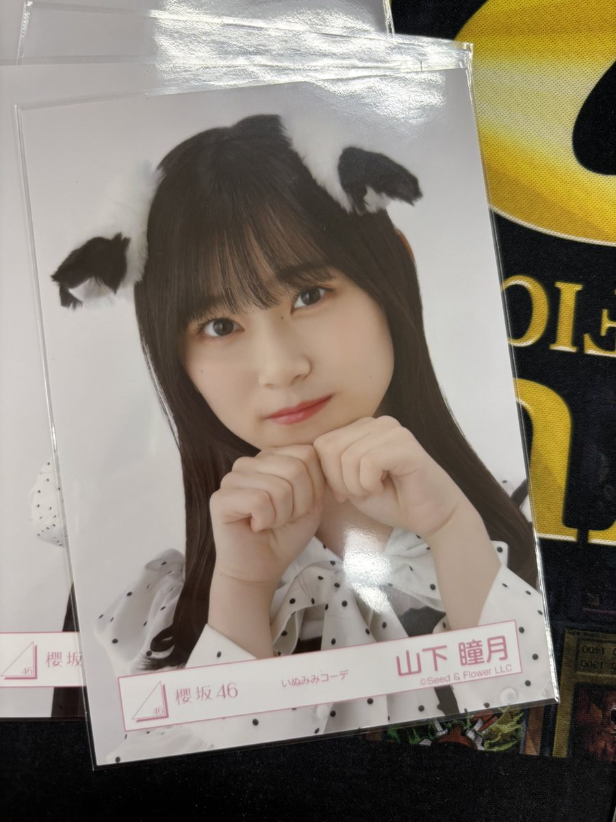 櫻坂46 守屋麗奈 自業自得 東京ドームプレミアム生写真 【公式通販】