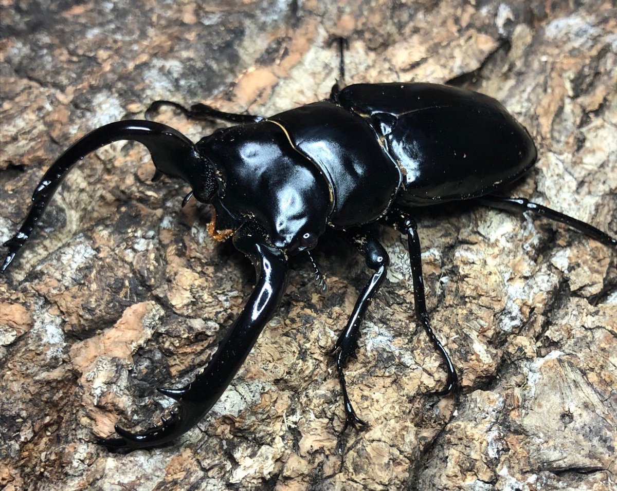 まっちゃん (@mentai1969saga) / Posts / X