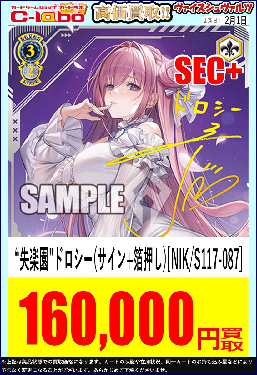 失楽園ドロシー SEC+ ヴァイスシュヴァルツ /