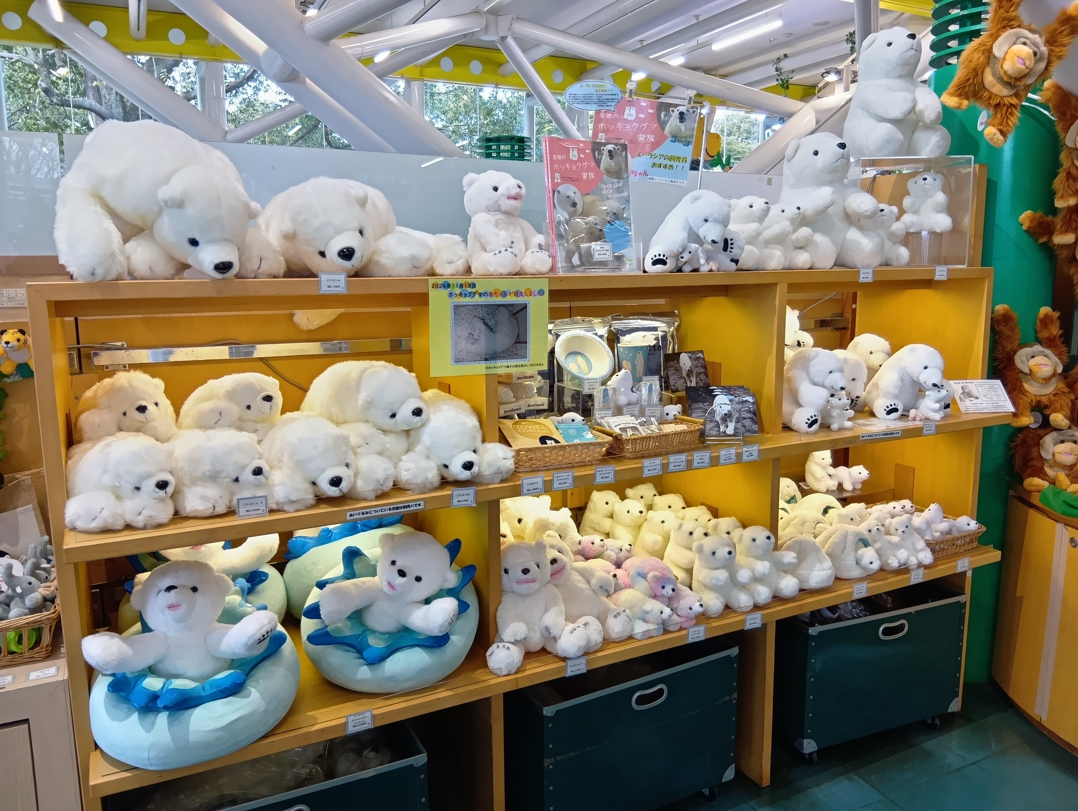 横浜ズーラシアのぬいぐるみ 販売済み ショップ・グッズ・フォト