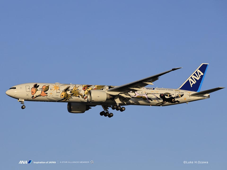ANA 777-300ER イーブイジェット 全日空 ポケモンジェット NG ANA