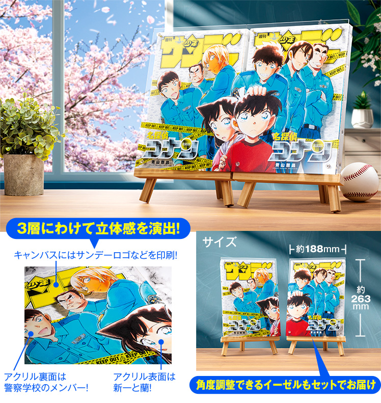 名探偵コナン 繋がるレイヤードグラフセット 応募者全員サービス 全サ