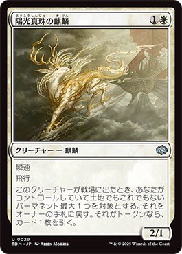 MTGスタンダードデッキ‼️ジェスカイ眼魔サイド付き‼️75枚 MTG