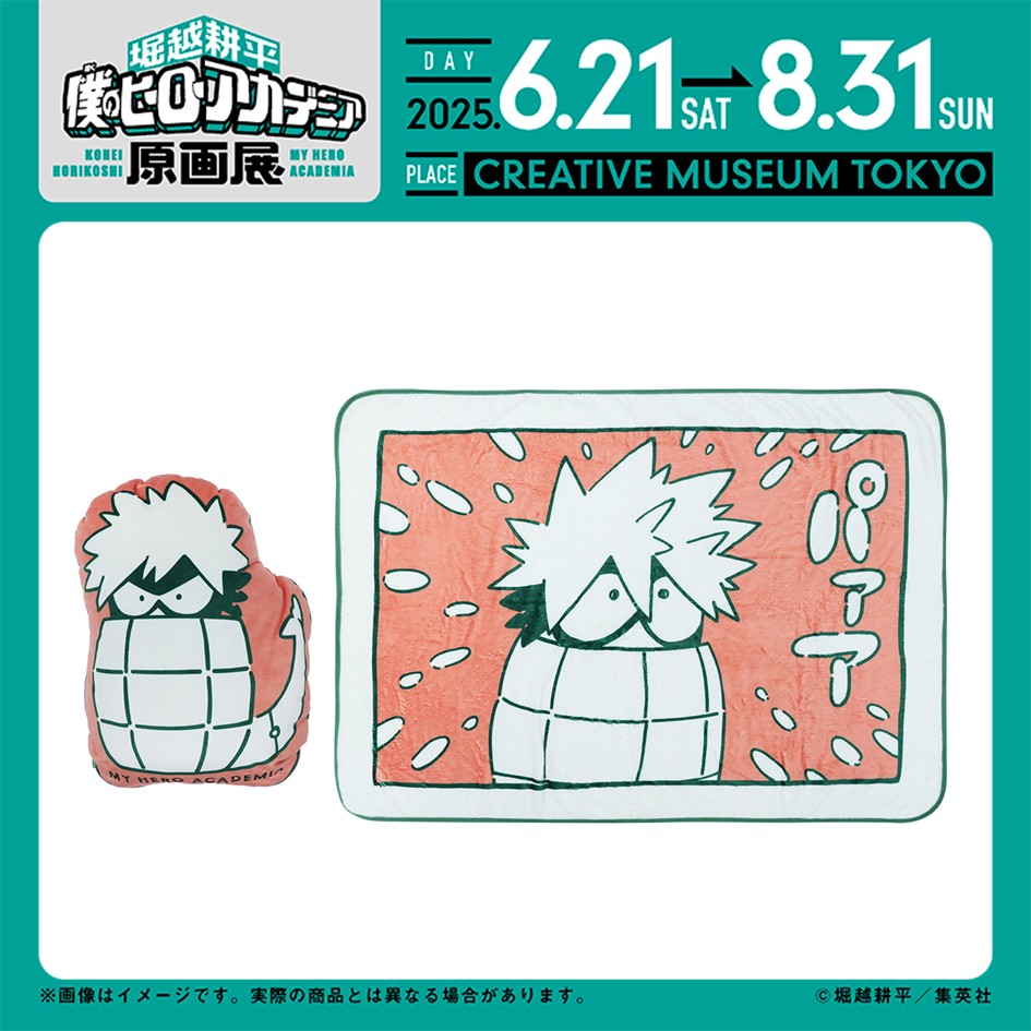 ヒロアカ原画展 グッズ情報】 □だいなまブランケットinクッション2度