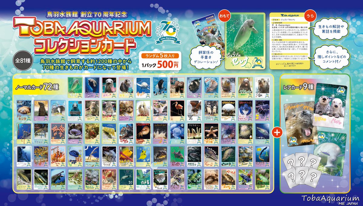 鳥羽水族館 70周年記念TOBA オンライン AQUARIUMコレクションカード 50