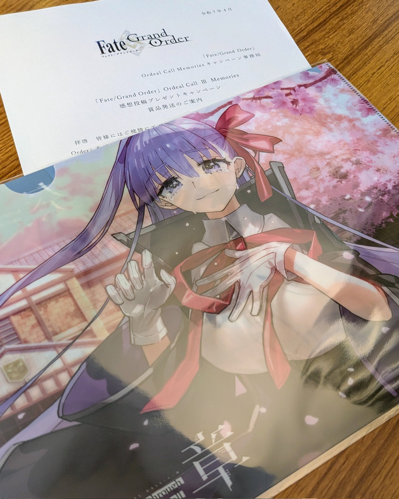 Fate/Grand Order 奏章 感想投稿キャンペーン クリアファイル Fate