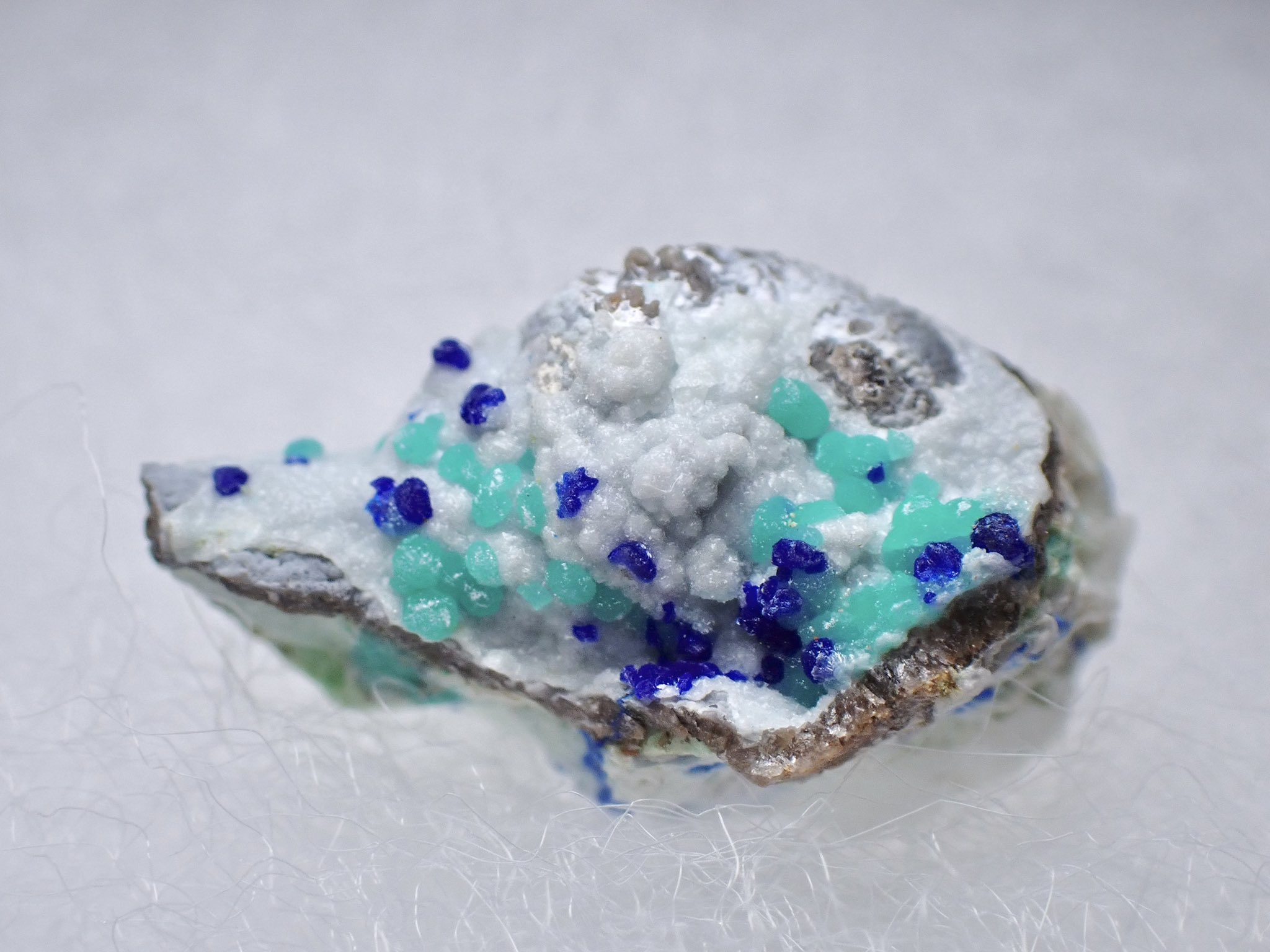 希少！輝く結晶！タタフィン隕石標本