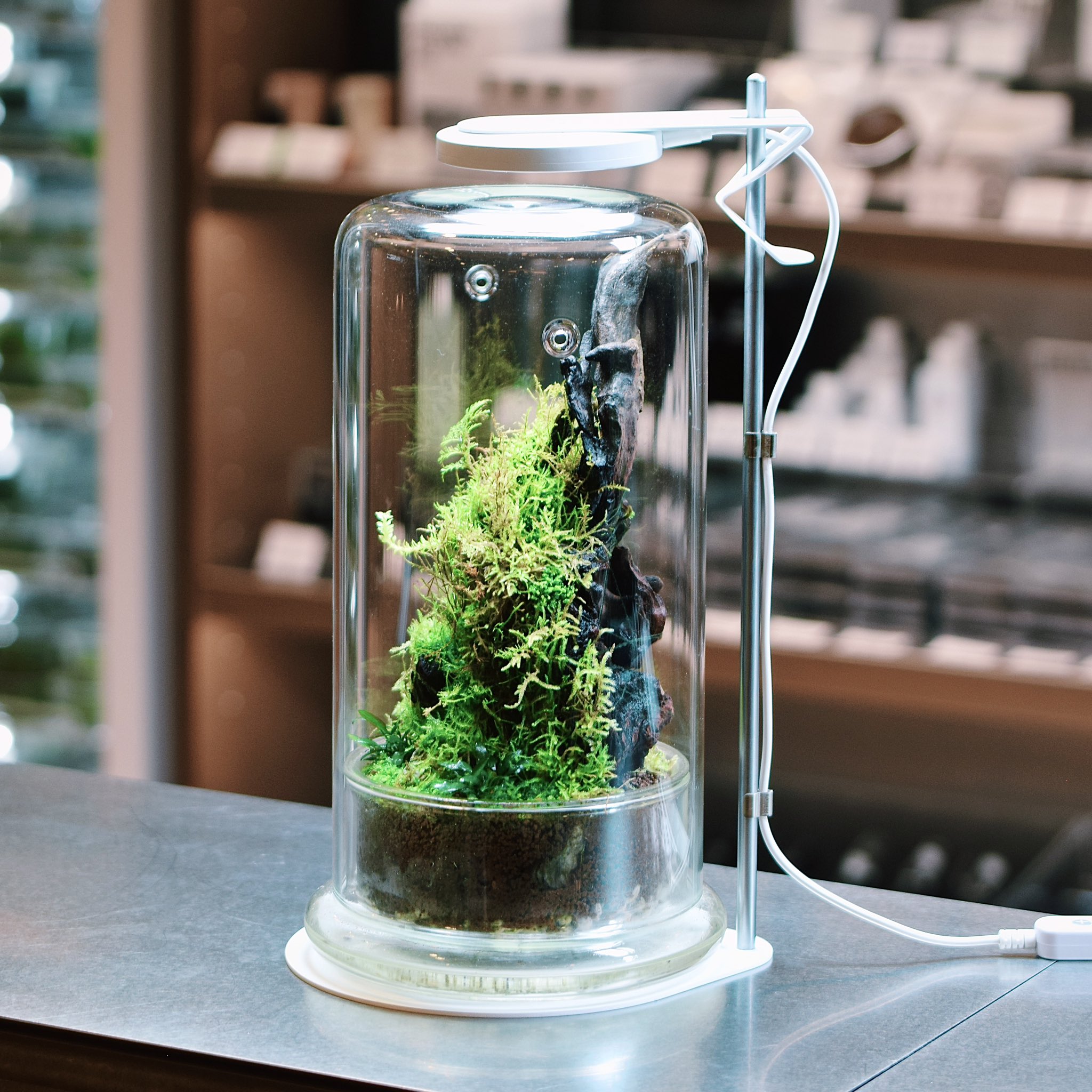 ADA LAB 限定 DOOA マグネットライトスタンド ネオグラスエア