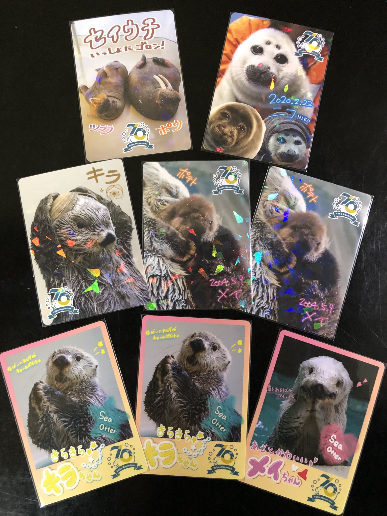 鳥羽水族館】コレクションカード キラ（レアカード） ラッコ 貝かぶり
