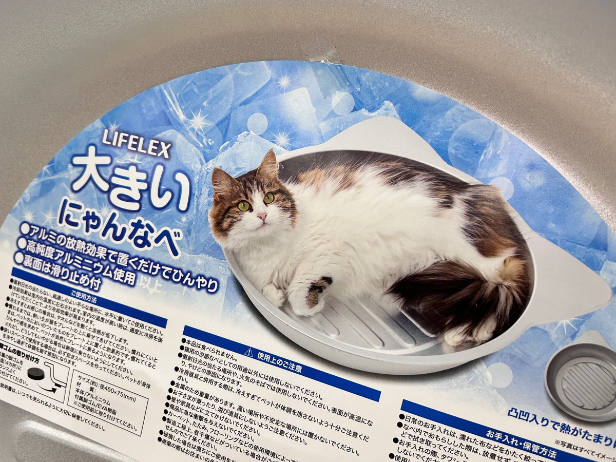 にゃん汰ページ Nyanta | Isekai Wiki | Fandom