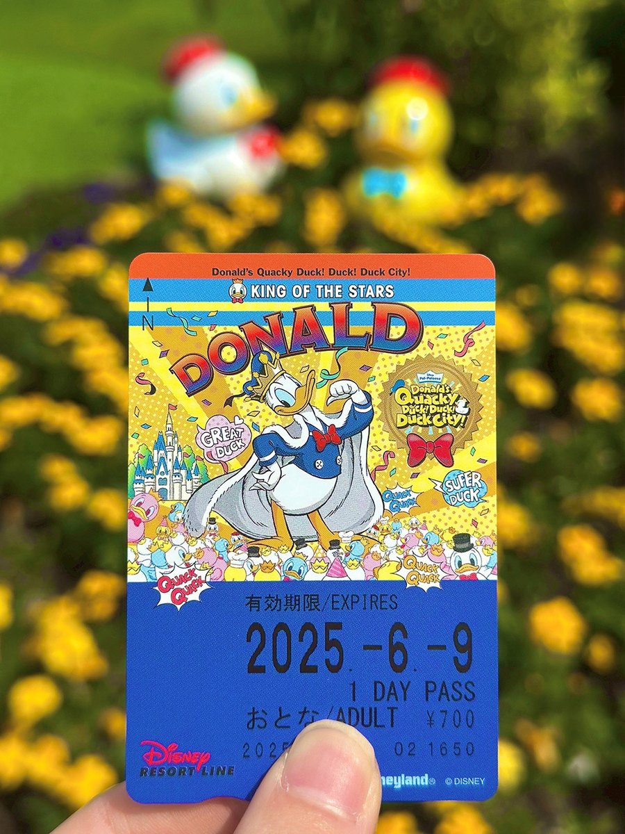 ディズニーリゾート リゾートライン 切符 ドナルド ディズニーリゾート