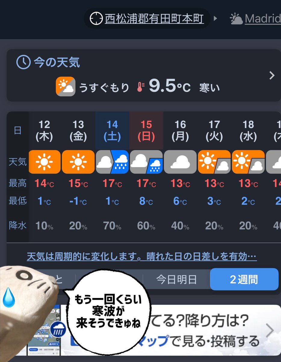 園芸ゴマちゃん #おはようございます Good morning, everyone🌞 The