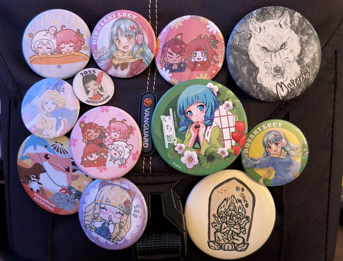 というわけで昼間に弘前ルーシィさんの冬バージョン缶バッジをゲットし