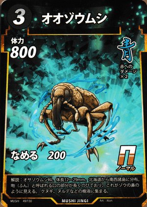 ゾウムシってこの3種類しかおらんの！？！？#蟲神器