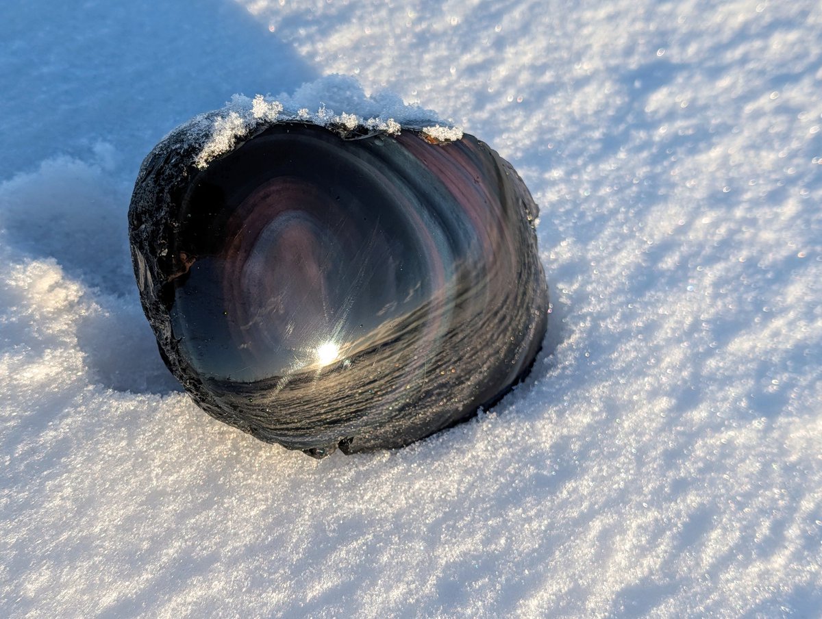 玲瓏石🌌 (@reiro369) / Posts / X