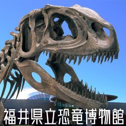 福井県立恐竜博物館 (@FukuiDinosaurs) / Posts / X