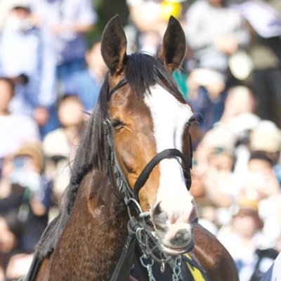 極上 馬 一対 426g 東キ7-1123④ 🐴おうまさん🍜 (@oumasaan1) / Posts /