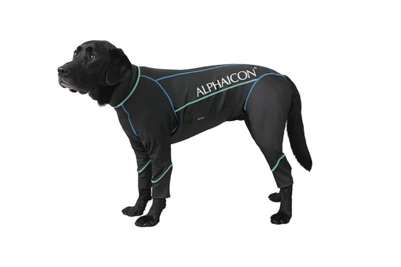 アルファアイコンとファイテンがコラボした機能性ドッグウェアが登場