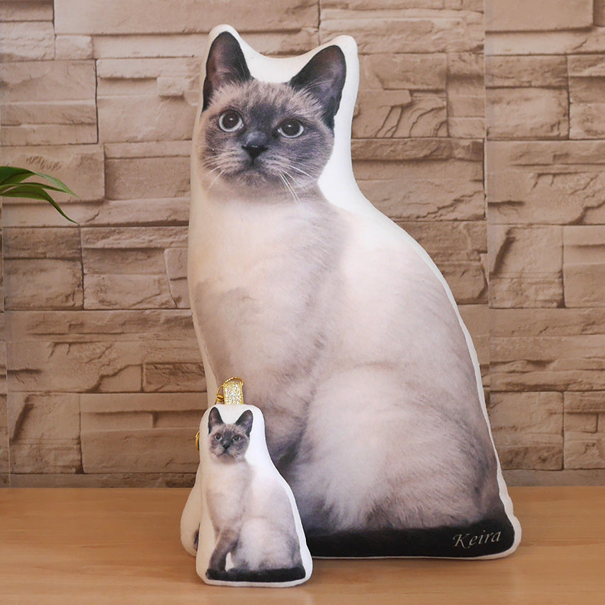 藤原いっちゃん♡様 オーダークッション☆。.:＊・゜