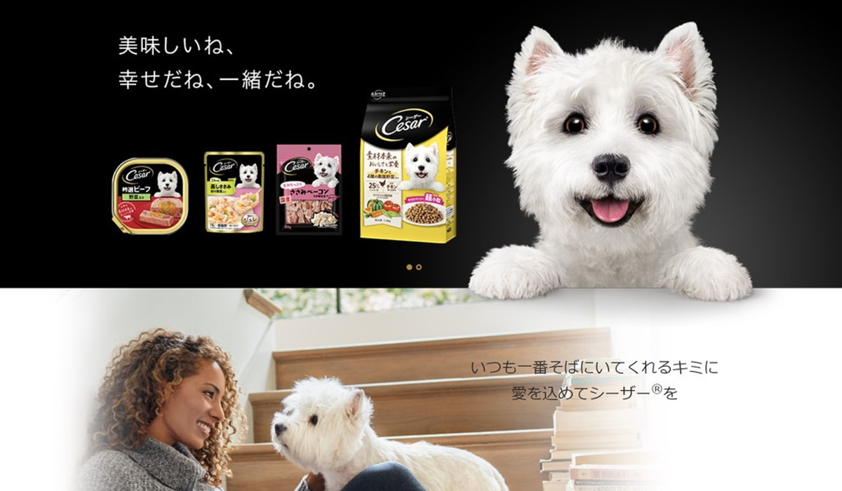 3兄弟 シーザー 14歳からの吟選ビーフ 100gx24コ入 3つセット