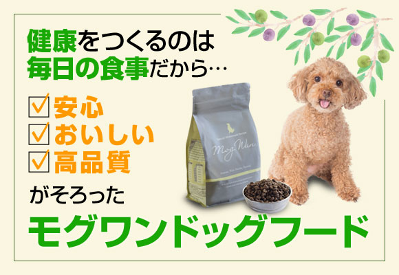 MogWan プレミアムドッグフード 2袋セット MogWan ドライドッグフード