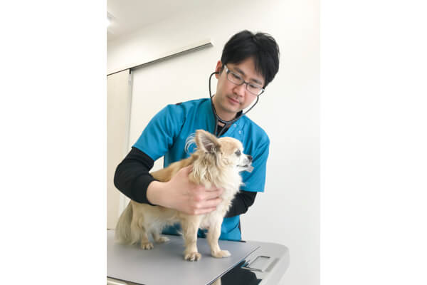 四季の森どうぶつ病院｜東京都中野区｜EPARKペットライフ