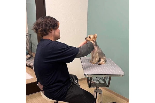 BIBICHE 新狭山店（ペットサロン・トリミング）｜埼玉県狭山市｜EPARK