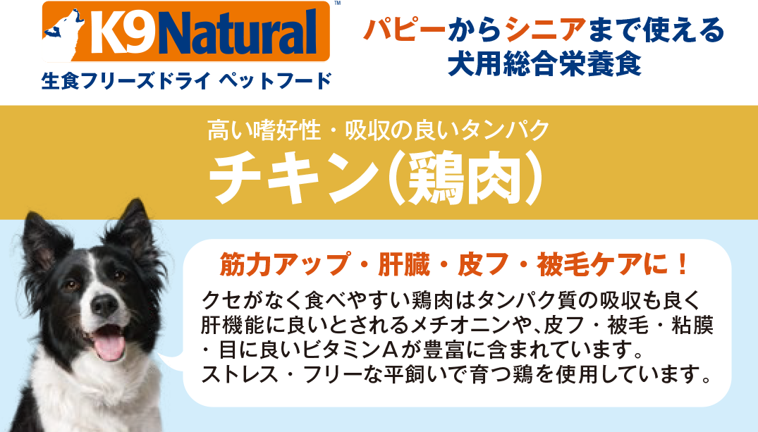 会員制ペット用品総合ショッピングサイト｜ペッツカーニバル / K9