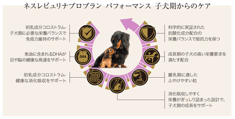 ピュリナ プロプラン ドッグ パフォーマンス 子犬期からのケア チキン