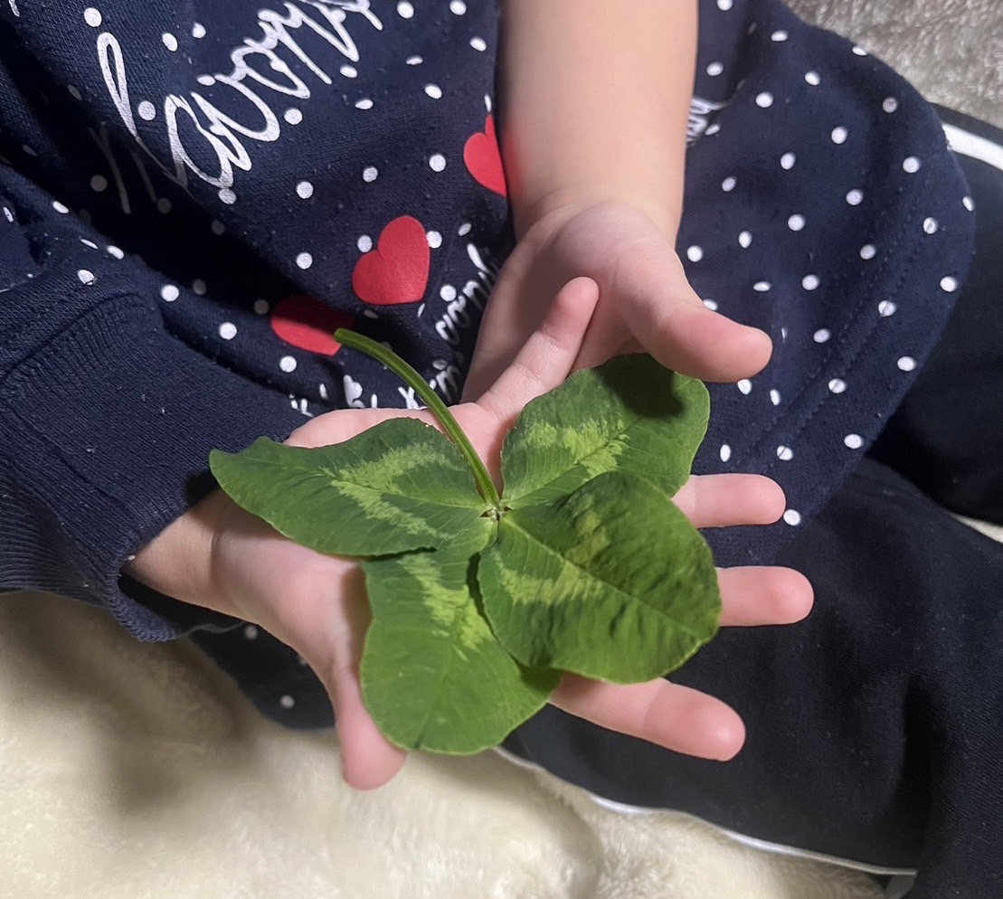 大きな四葉のクローバー🍀 | 株式会社P2eLabo