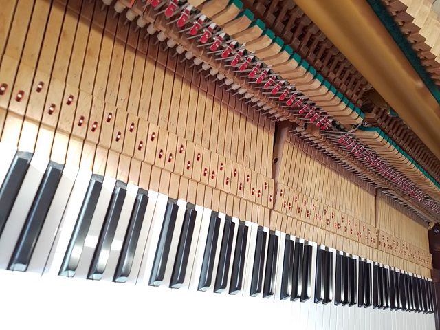 ESP6338【東京23区神奈川軒先車上渡し無料】 ヤマハ U1 3本ペダル