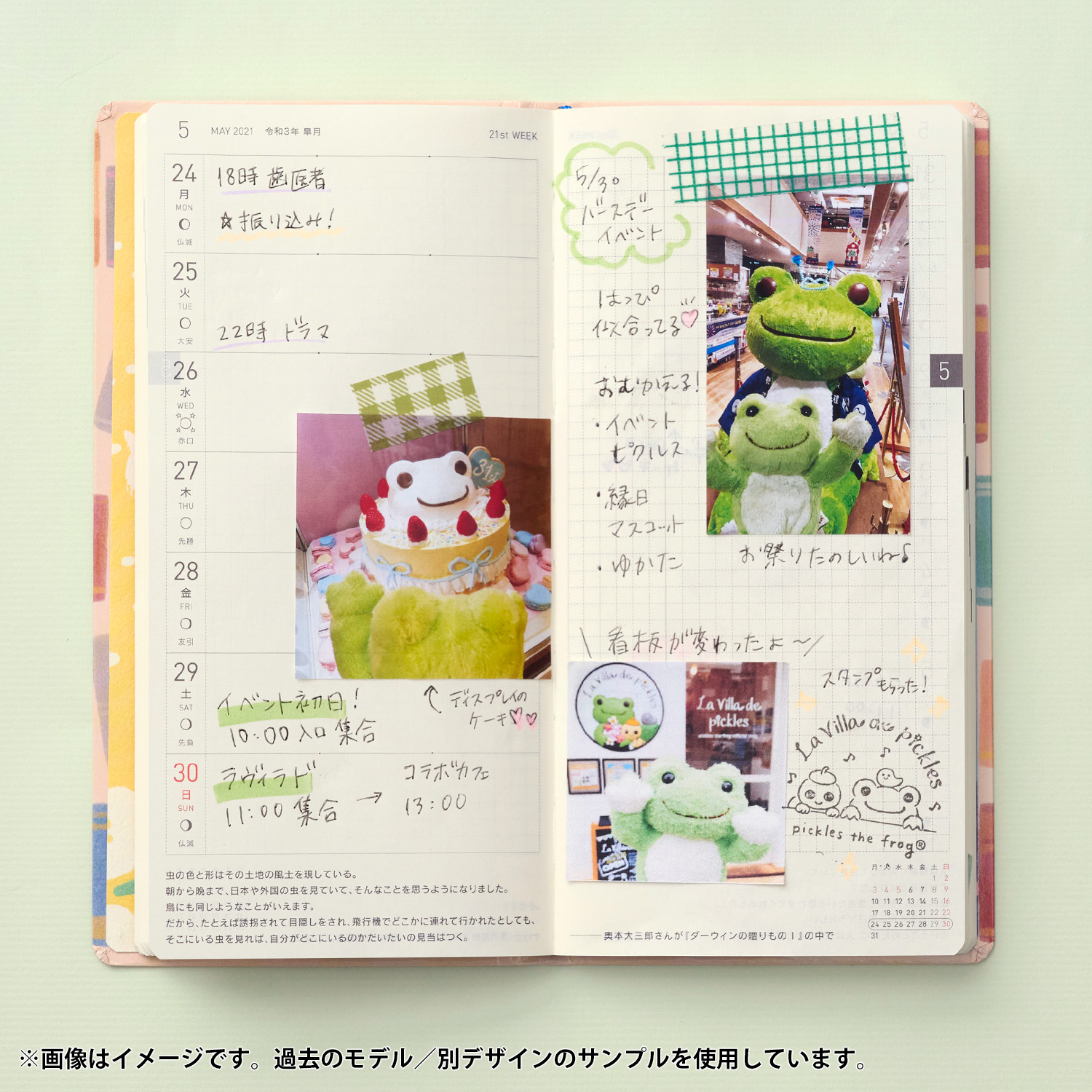 かえるのピクルス pickles home