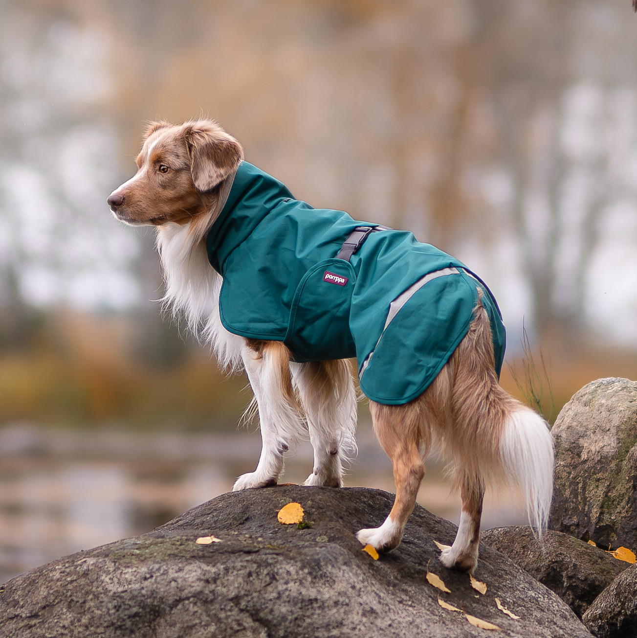 ポムッパ ペルス ペトロール サイズ75 【公式通販】