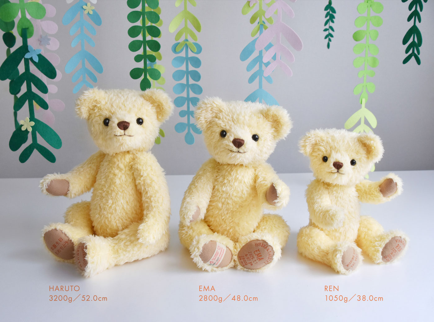 2025 春夏 - 身長体重ベア「メモリアルベア」／ポッシュ・シゴーニュ