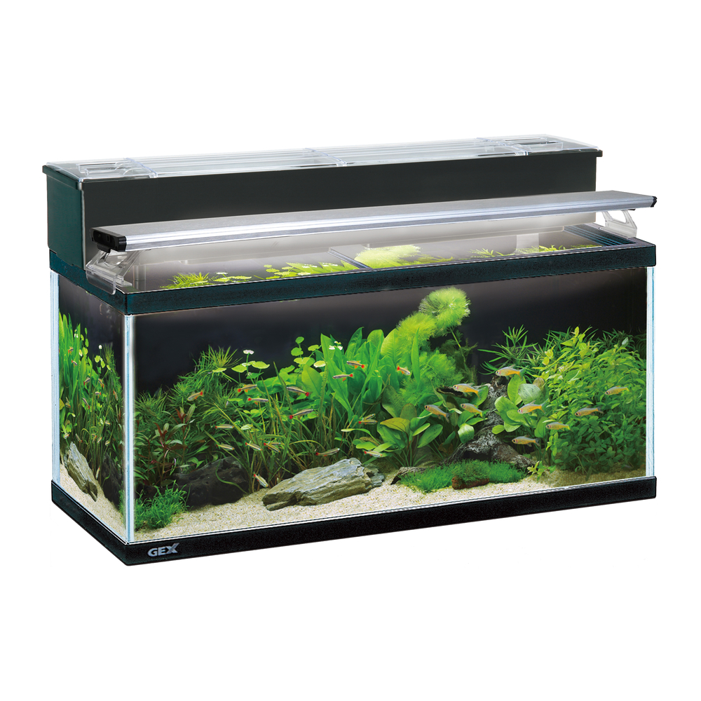GEX 90センチスリム オーバーフロー水槽 セット海水魚