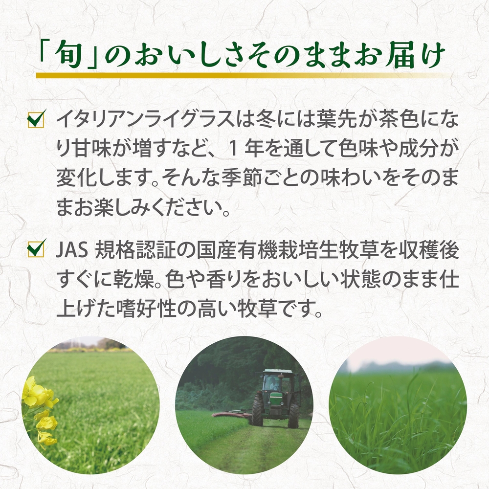 旬牧草 イタリアンライグラス300g | ジェックス株式会社