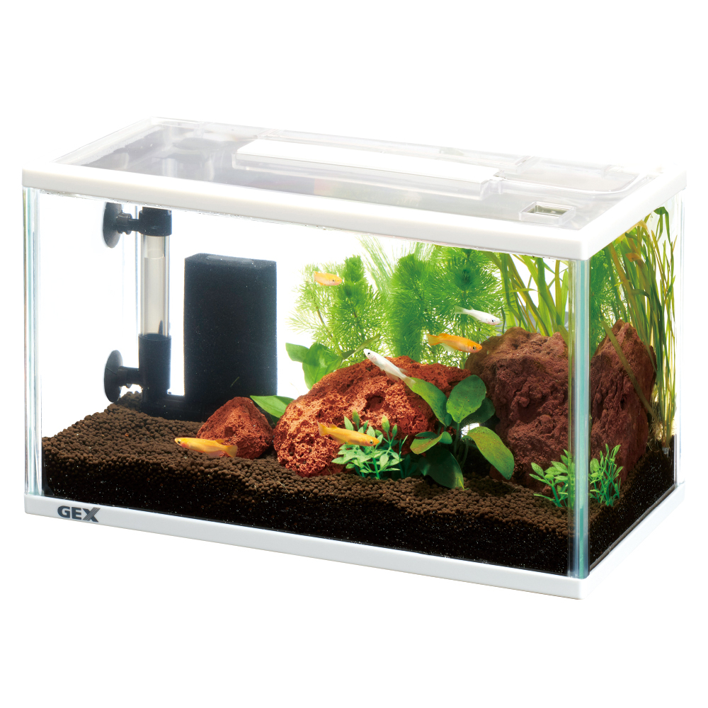 メダカ元気 メダカのための水槽セット300 | ジェックス株式会社