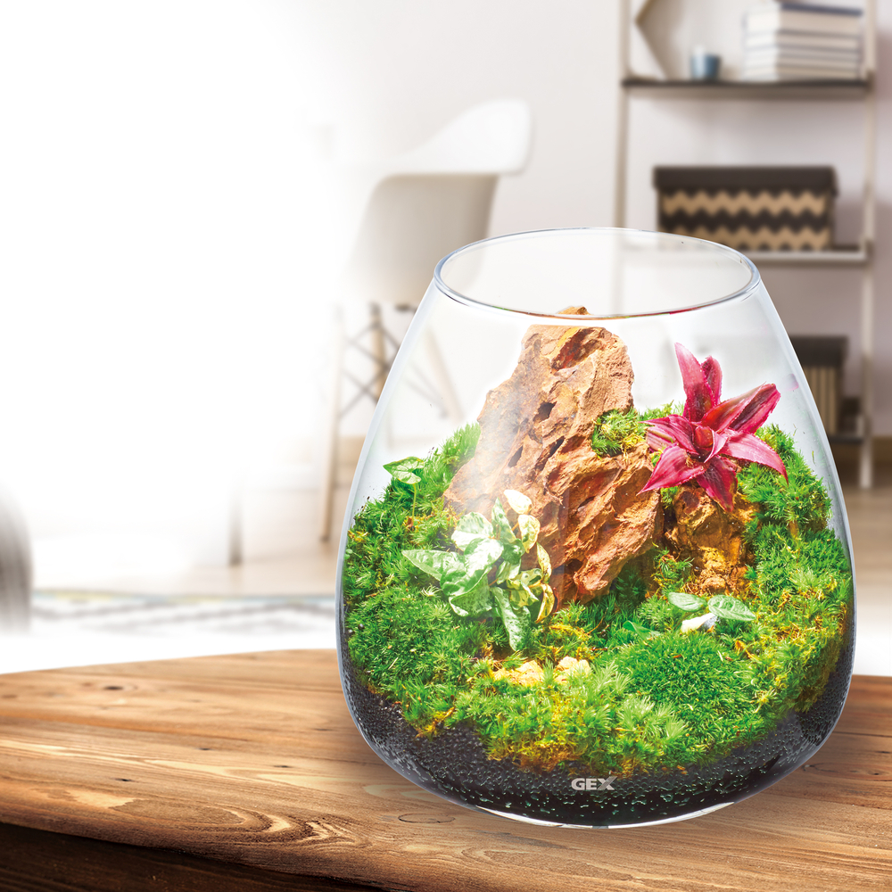 GEX グラスアクアリウム スフィア 流木と風山石 レイアウト完成品(1個