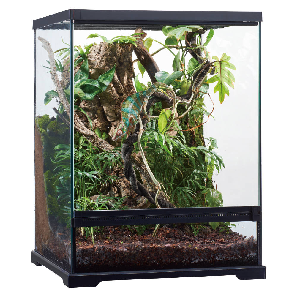 グラステラリウム6045 引き取り限定 静岡引き取り限定】グラス