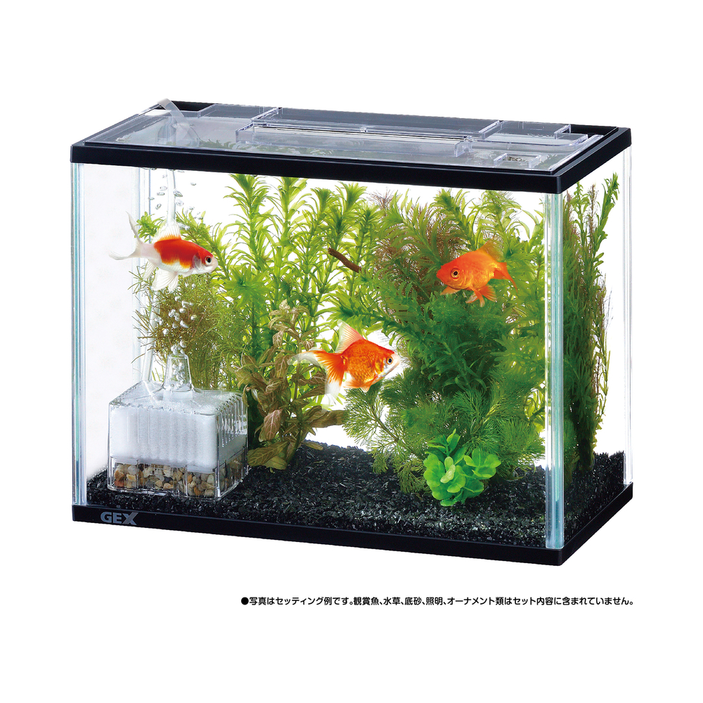 3面ブラック GEX 90cm水槽 水槽台セット ガーネットサンド付き 楽天